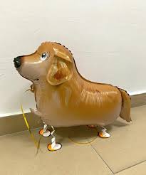 Golden Retriever Dog Walking Pet Balloon