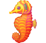 Tropical Sea Horse Shape