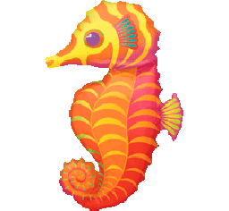 Tropical Sea Horse Shape