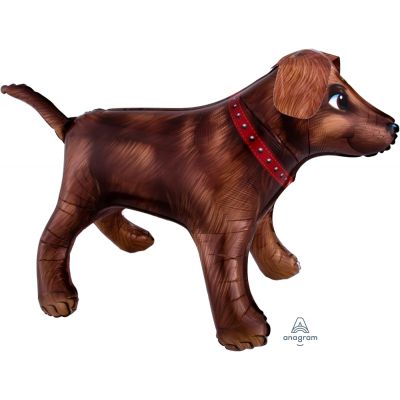 Golden Dog 3D shape