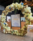 Full Circle Balloon Backdrop Hire